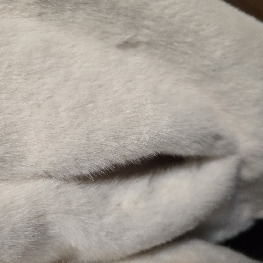 Jacket with Fuzzy Texture - Picture 4 of 6
